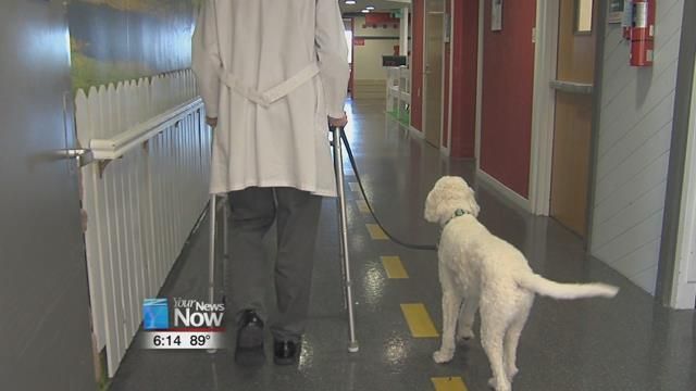 St. Rita's Therapy Dog